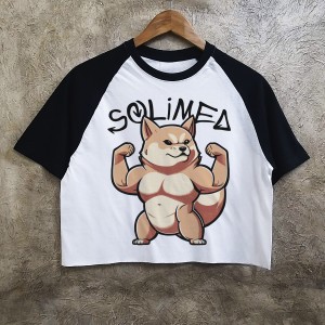 Corgi cropped tee bicolor...